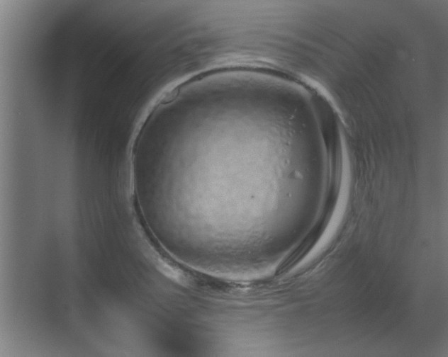 X0000070231371200605261333