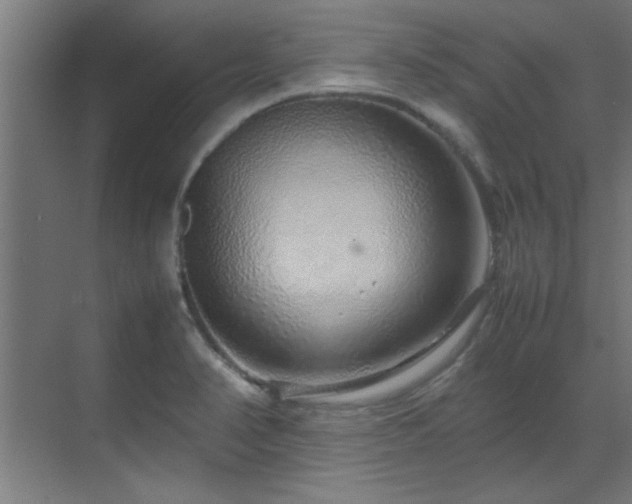 X0000070231374200605261333