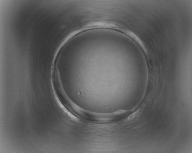 X0000070231381200605261333