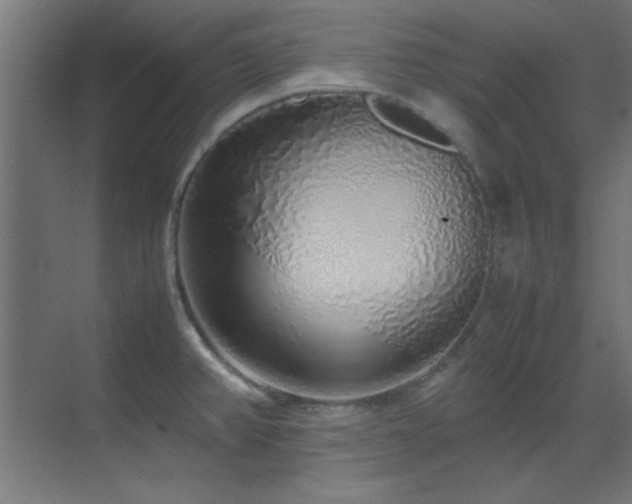 X0000070231382200605261332