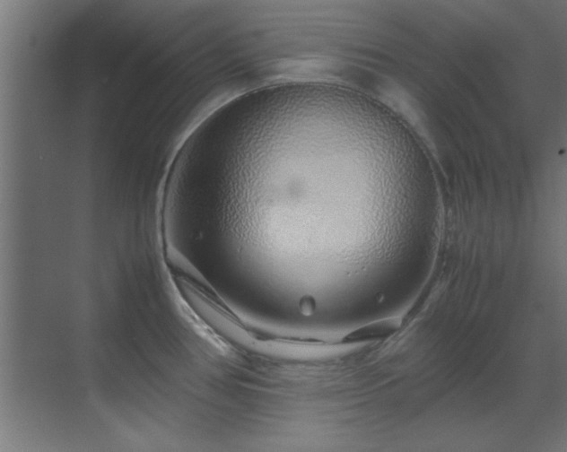 X0000070231386200605261332