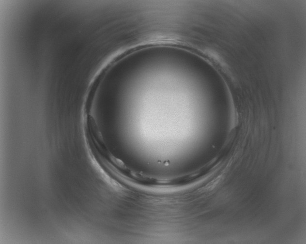 X0000070231422200605261332