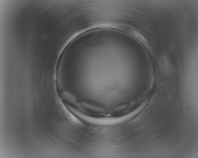 X0000070231428200605261332