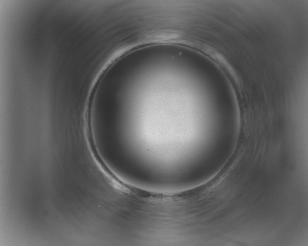 X0000070231432200605261332
