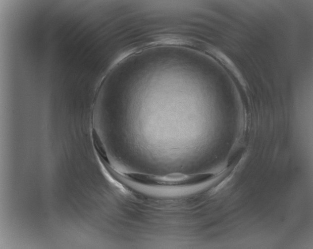 X0000070231433200605261332