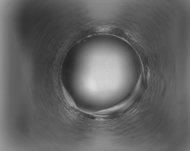 X0000070231441200605261332