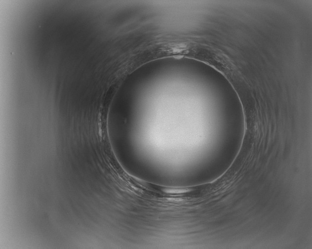 X0000070231442200605261331