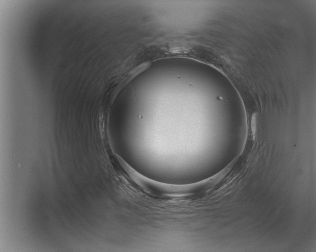X0000070231443200605261331