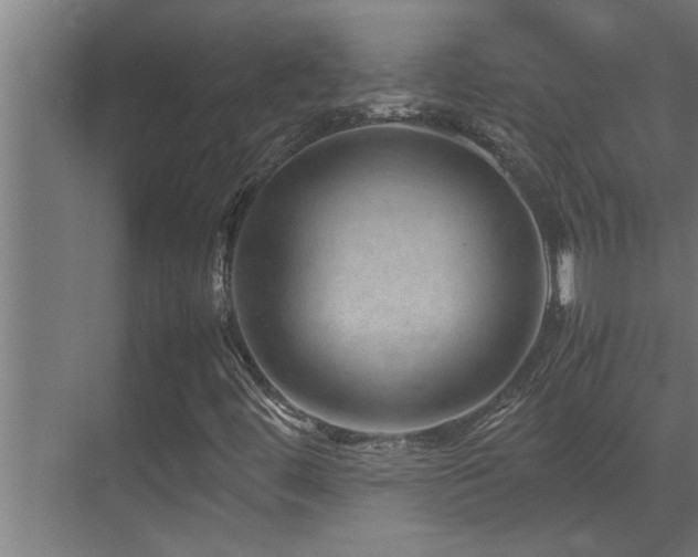 X0000070231444200605261331