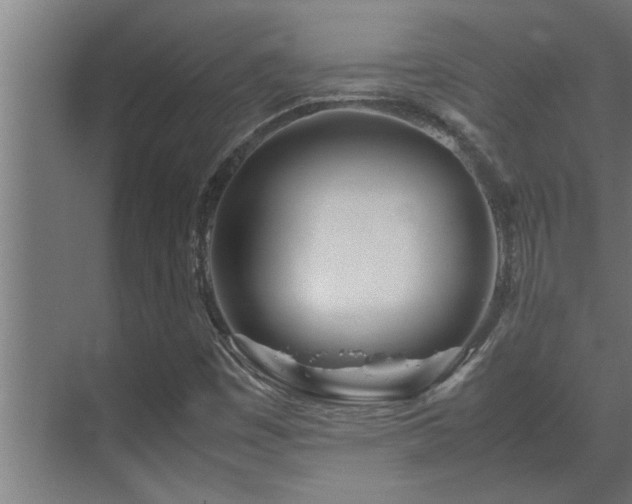 X0000070231449200605261331