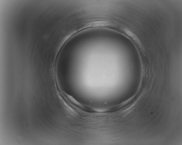 X0000070231473200605261331