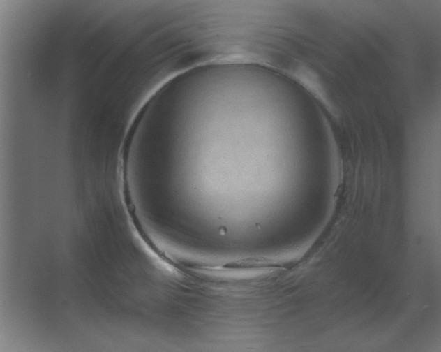 X0000070231476200605261331