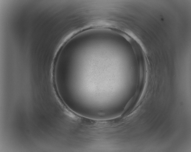 X0000070231477200605261331