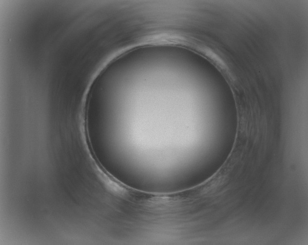 X0000070231478200605261331