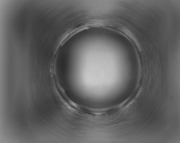X0000070231481200605261331