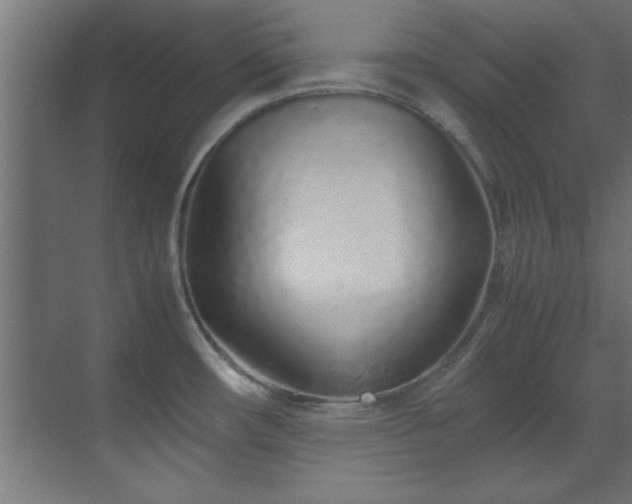 X0000070231482200605261331