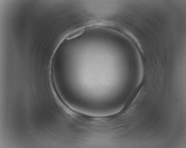 X0000070231483200605261331