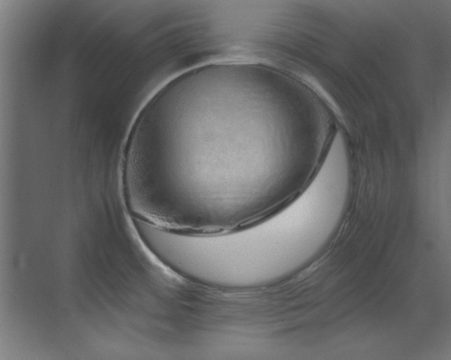 X0000070231484200605261331