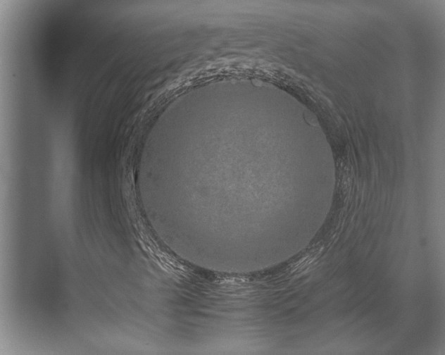 X0000070231489200605261330