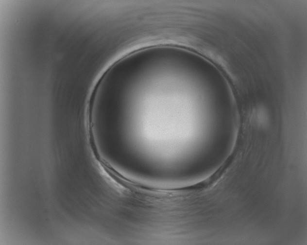 X0000070231516200605261330