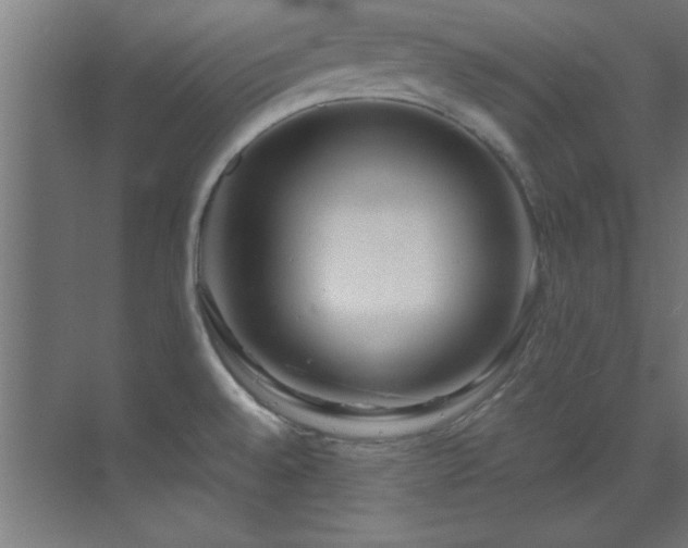 X0000070231528200605261331