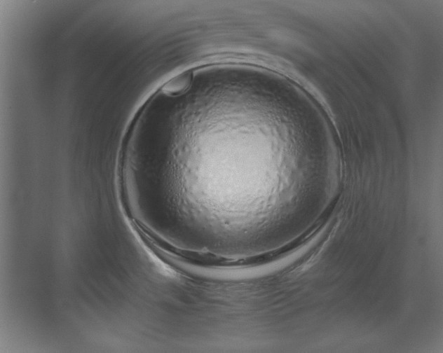 X0000070231533200605261331