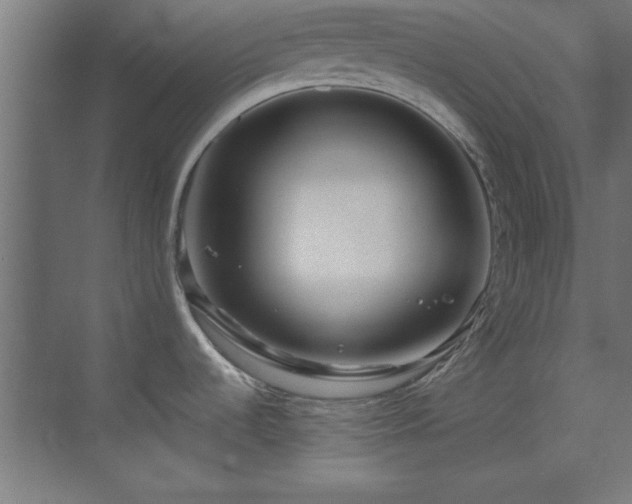 X0000070231536200605261331
