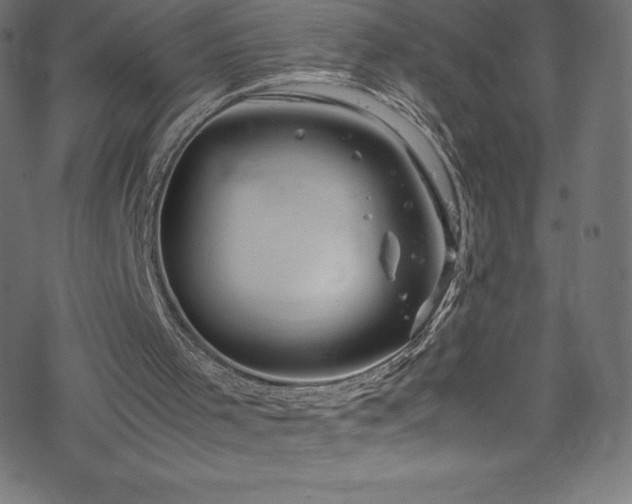 X0000070230001200605301507