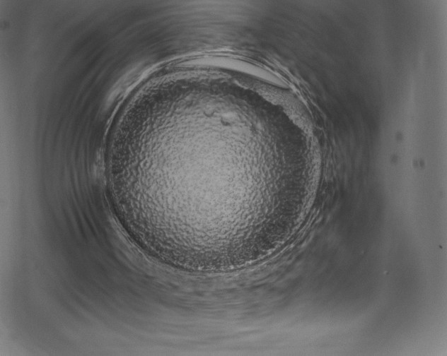 X0000070230002200605301507