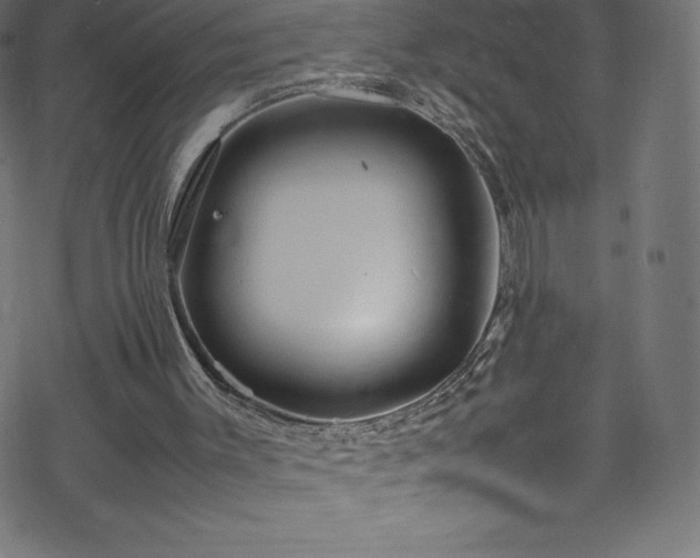 X0000070230003200605301507