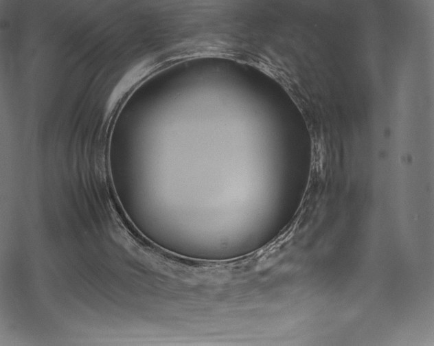 X0000070230004200605301507