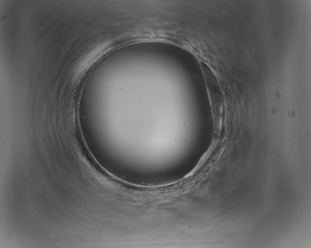 X0000070230005200605301507