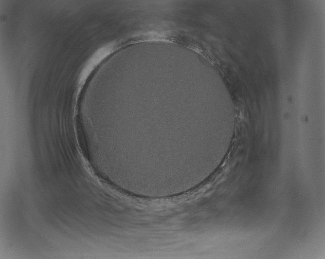 X0000070230006200605301507