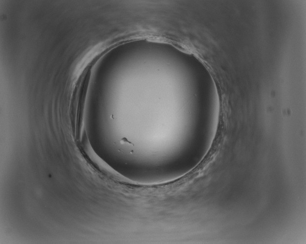 X0000070230007200605301507