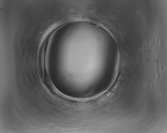 X0000070230008200605301507