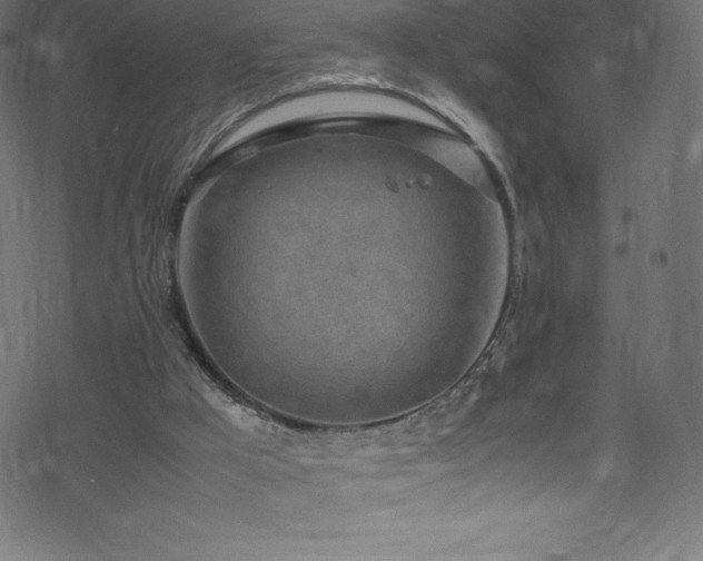 X0000070230009200605301507