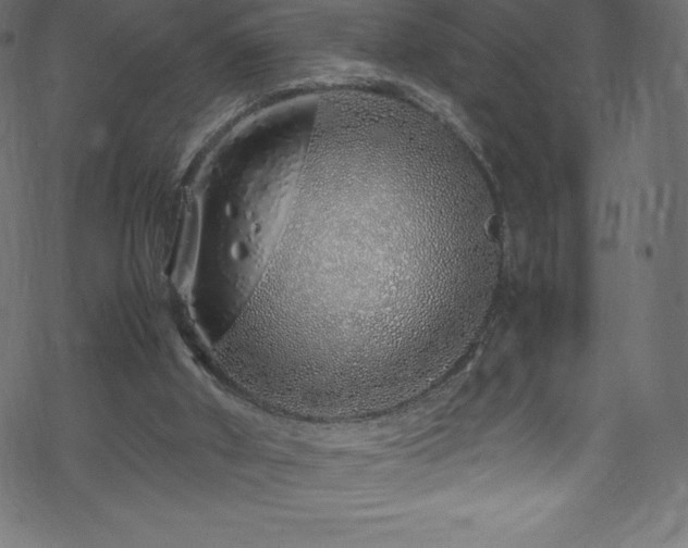 X0000070230010200605301507