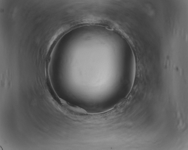 X0000070230011200605301507