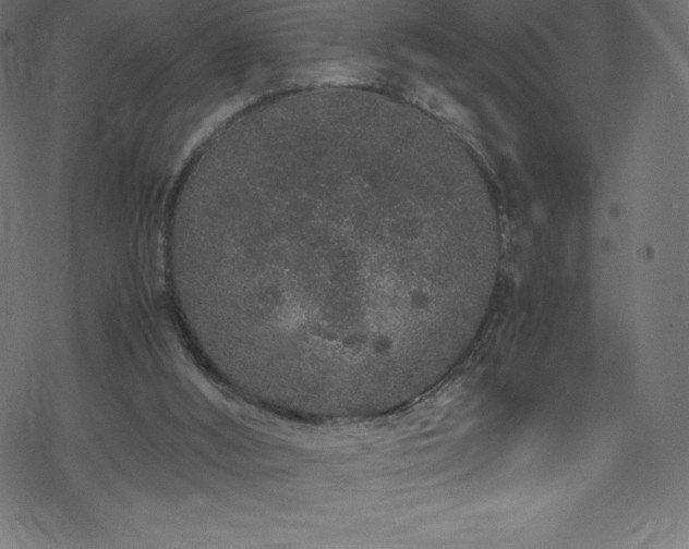 X0000070230012200605301507