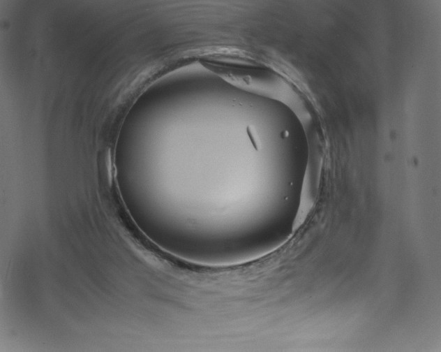 X0000070230013200605301507