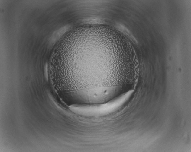 X0000070230014200605301507