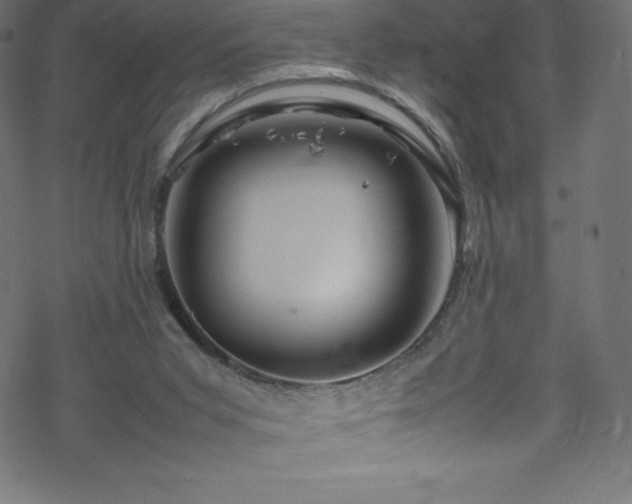 X0000070230015200605301507