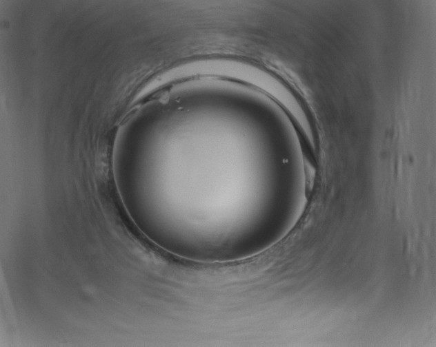 X0000070230017200605301507