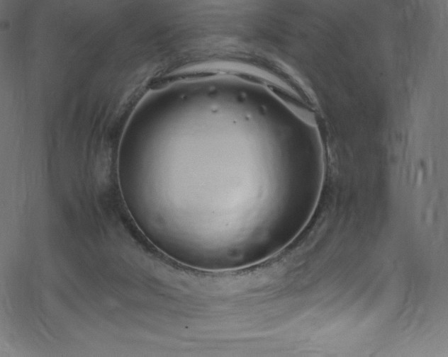 X0000070230018200605301507