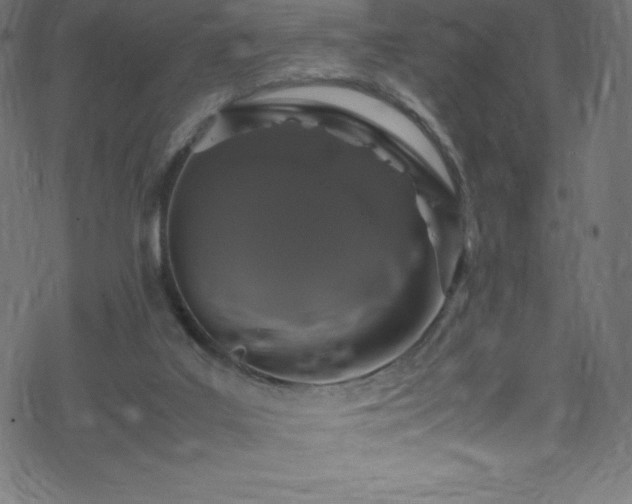 X0000070230019200605301507