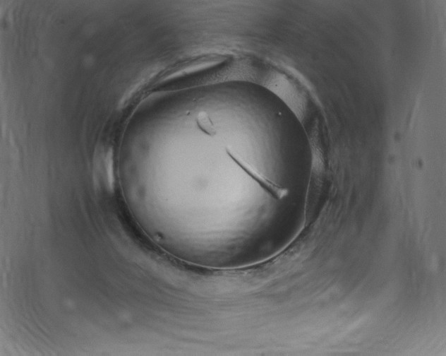 X0000070230020200605301507