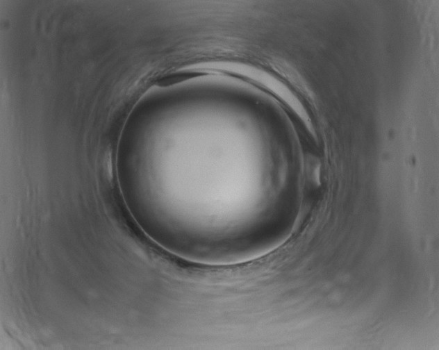 X0000070230021200605301507