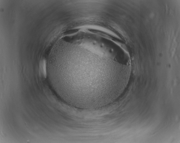 X0000070230022200605301507