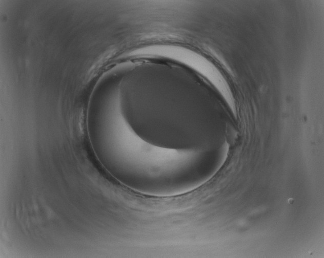 X0000070230023200605301507