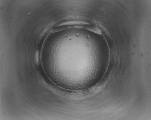 X0000070230024200605301507